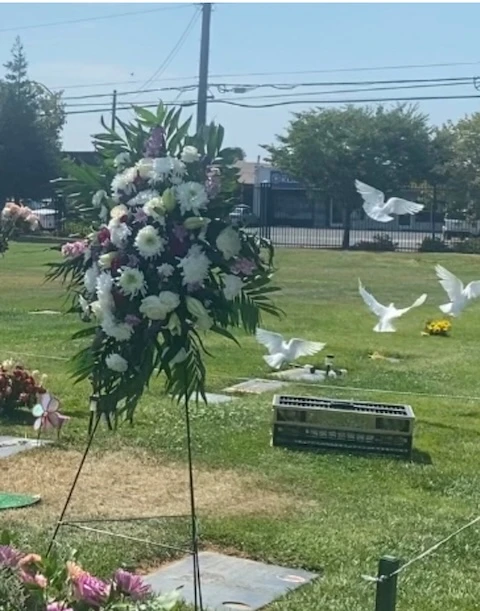 Four white doves released at a memorial service in Sacramento, California